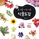 식물도감