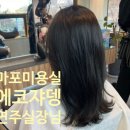 에코쟈뎅 마포 애오개역 이미지