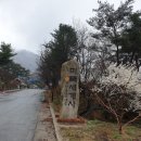 미륵전자 이미지