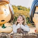 마이제주투어 이미지