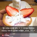 요거프레소 이미지