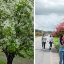 지방887호 이미지