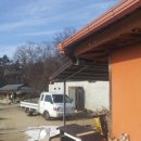 선산대로-54 이미지