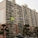 서산로 Daum카페