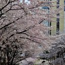 4월 5일 경기방 (일요일)출석부 이미지