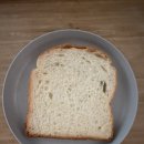 수목금프로젝트 이미지