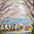 간전-5 | 2026 구례 300리 벚꽃축제 완벽 가이드 &amp; 평점 9.5 이상 숙소 TOP 5