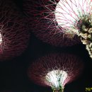 오색슈퍼 이미지