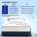 에이스이브자리 | 에어컨 켜도 더운 여름밤, 냉감 베개 하나로 꿀잠 자는 법