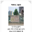 진순희
