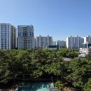 탐라공인중개사사무소 이미지