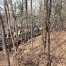 우면산3-17 이미지