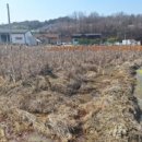 매수1리마을회관 이미지