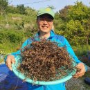 김명복농장 이미지