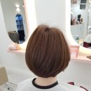 신기선생님