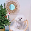 보나미용샵