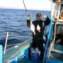 현대낚시 이미지