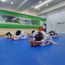 팰리스 태권도장 이미지