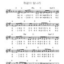 손이빛나리