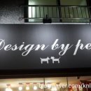 디자인바이펫 이미지