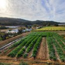 경자농장 이미지