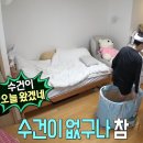 세탁갤러리 이미지