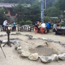 가평 숲속의 계곡 펜션 이미지