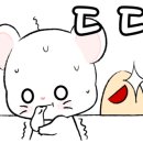 노량만두 이미지