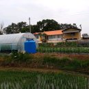 황토방이 있는 농가주택 매매(직거래) 충남 서천 이미지