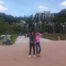 한나루 민어회 이미지