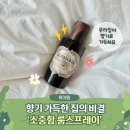릴리옷장 | 향기좋은 집의 비법, 백화점 향수 ‘소중함 드레스퍼퓸’ 릴리 향 후기 – 집들이선물로도 딱!