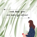 원집사 네이버블로그