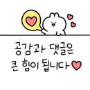 시티스테이 더 여수 이미지
