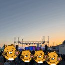 장항수산 | 서천 장항 꼴갑축제 후기, 2026 꼴뚜기 갑오징어 축제 일정과 현장 분위기
