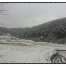 금평 농장 이미지