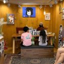 그린월풀빨래방2호점 | 20. 속초 중앙시장, 도토리 캐리커쳐, 미선재, 신기루상점