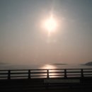 (주)뉴부산여행사 이미지