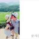 나무늘보북카페