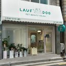 라우프독 이미지