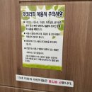 증평 가볼만한곳 좌구산숲 명상의집 휴테라피 족욕체험 꽃차시음 후기