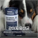 (주)비앤지 - 2433 | 인디고 프로바이오틱스 반려견 유래균주로 만든 강아지유산균 애견 추천