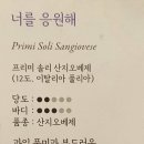 솔리안주