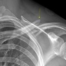 전일자동차정비 이미지