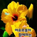 웃음은 보약보다 낫다&#39;하였다. 이미지