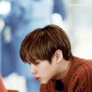 녹차나라 Daum카페
