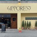 히포레스트(Hipporest) | 울산 달동 신상 디저트카페 히포레스트 hipporest 옥수수크로핀 이거 뭐야