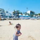 루다네 까까 이미지