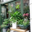 나성건재 이미지