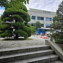 샘마을우방아파트 508동 앞 | 피크민블룸 안양 길거리 단독스팟 모음 길거리 데코 피크민 비오는날 눈오는날