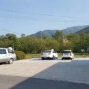 천덕송어 이미지